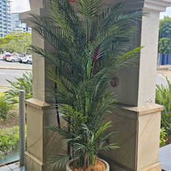 Alexander Palm 2.4m UV-treated - artificial plants, flowers & trees - image 1