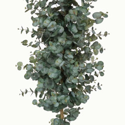 Eucalyptus 'Grey Gum' 1.8m UV  - artificial plants, flowers & trees - image 3