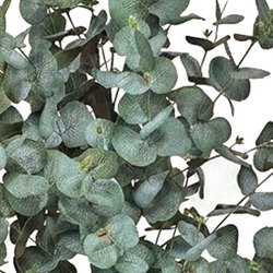Eucalyptus 'Grey Gum' 1.8m UV  - artificial plants, flowers & trees - image 1