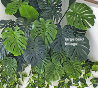 From Domestic eyesore to stunning Greenery Feature- easy