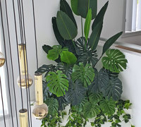 From Domestic eyesore to stunning Greenery Feature- easy