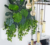 From Domestic eyesore to stunning Greenery Feature- easy
