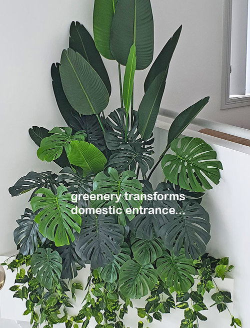 From Domestic eyesore to stunning Greenery Feature- easy