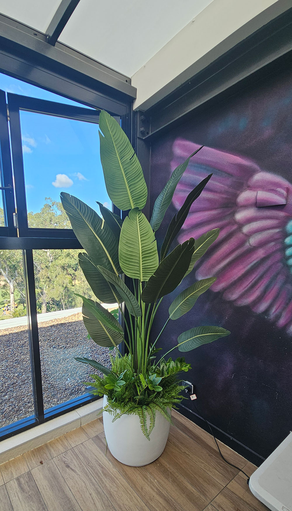 Heliconia Palms- 2.1m