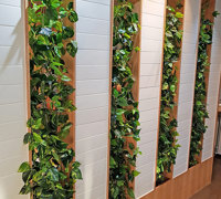 Trendy E-Marketing Head Office goes green...