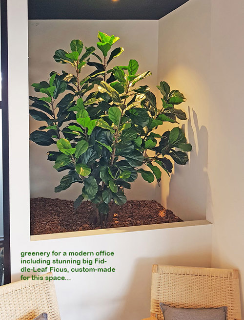 Trendy E-Marketing Head Office goes green...