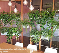 Trendy E-Marketing Head Office goes green...