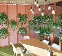 Trendy E-Marketing Head Office goes green...