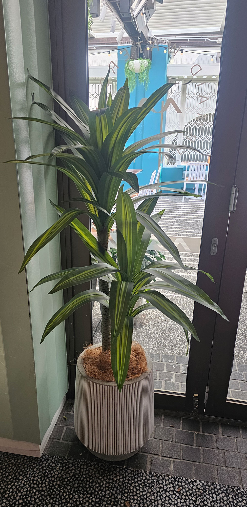 Happy Plant 1.3m double 
