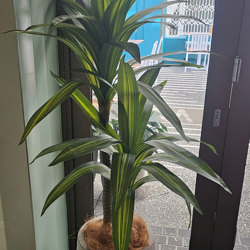 Happy Plant 1.3m double  - artificial plants, flowers & trees - image 1