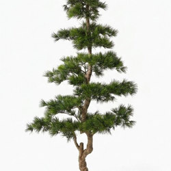 Japanese Black Pine 1.8m UV-rated - artificial plants, flowers & trees - image 1