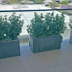 Trough Planters- with Lucky Jade Plants UV 1m  - artificial plants, flowers & trees - image 5
