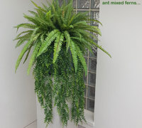 Finishing green touches for Sanctuary Cove re-furb...