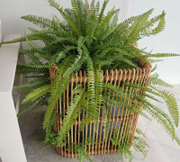 Finishing green touches for Sanctuary Cove re-furb...