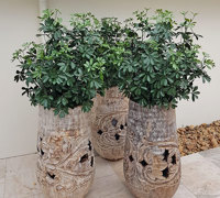 Finishing green touches for Sanctuary Cove re-furb...