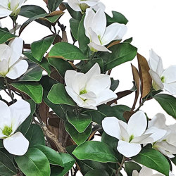 Magnolia deluxe - flowering 1.7m wh-grn - artificial plants, flowers & trees - image 1