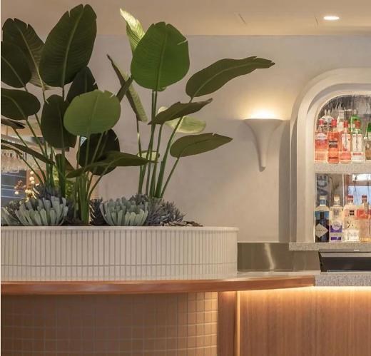 Chic planter mix of palms & succulents