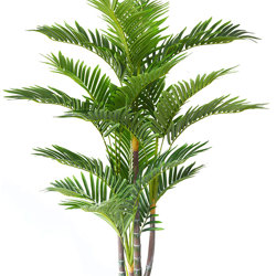 Mini-Cane Palm 1.3m  - artificial plants, flowers & trees - image 1