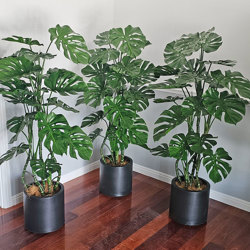 Monstera 'giant leaf' 1.6m - artificial plants, flowers & trees - image 5