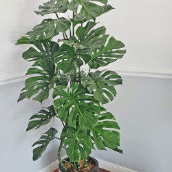 Monstera 'giant leaf' 1.6m - artificial plants, flowers & trees - image 2