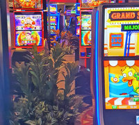 Gaming-Rooms made more inviting & social distancing compliant with a little Green Help...
