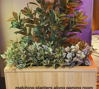 Gaming-Rooms made more inviting & social distancing compliant with a little Green Help...