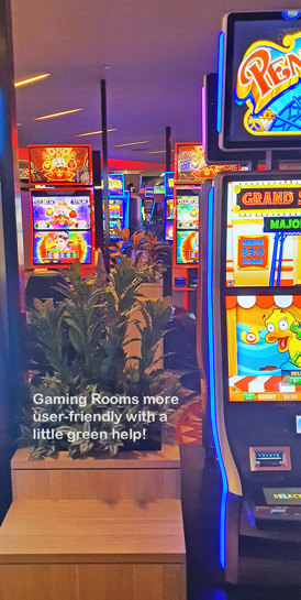 Gaming-Rooms made more inviting & social distancing compliant with a little Green Help...
