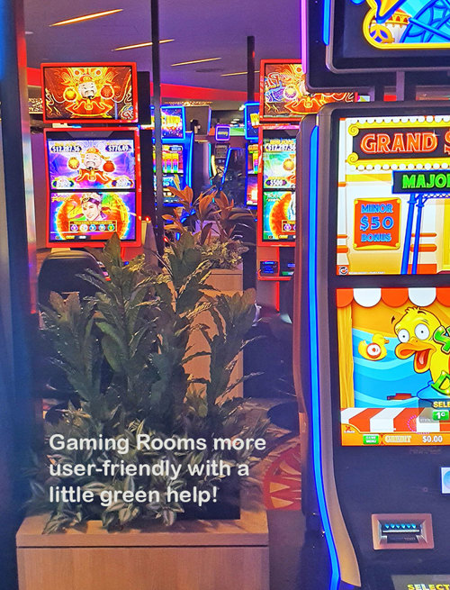 Gaming-Rooms made more inviting & social distancing compliant with a little Green Help...