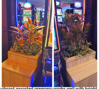 Gaming-Rooms made more inviting & social distancing compliant with a little Green Help...