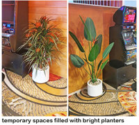 Gaming-Rooms made more inviting & social distancing compliant with a little Green Help...
