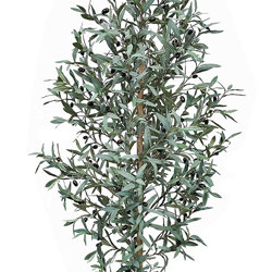 Olive Tree- narrow 1.8m - artificial plants, flowers & trees - image 1