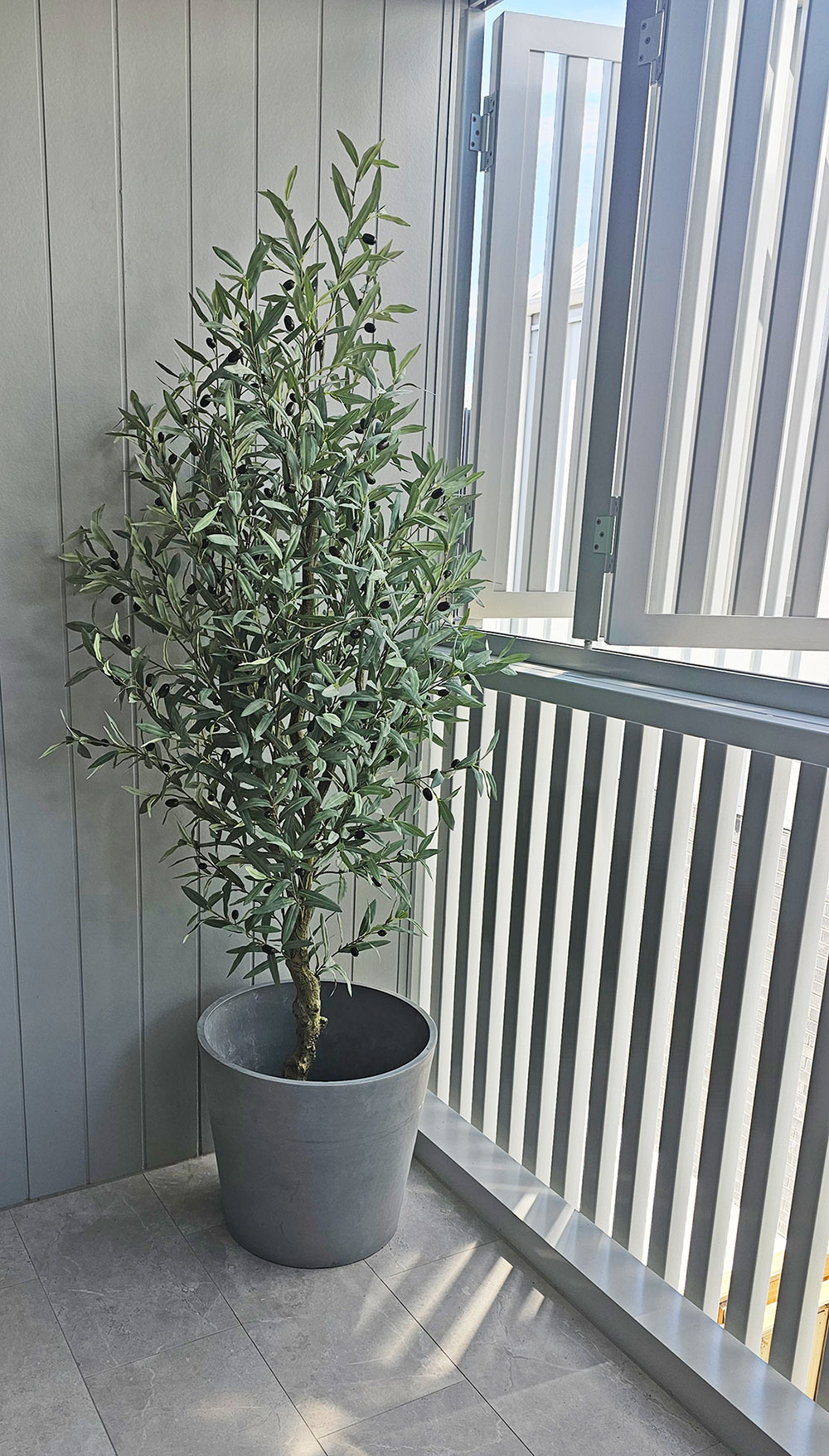 Olive Tree 2.1m deluxe