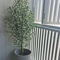 Olive Tree 2.1m deluxe - artificial plants, flowers & trees - image 1