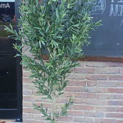 Olive Tree- UV 1.8m - artificial plants, flowers & trees - image 4