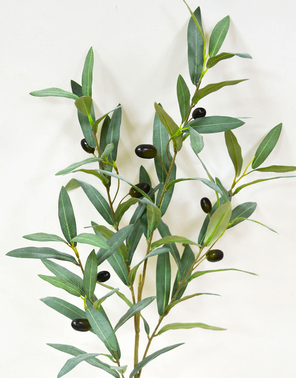 Leaf Sprays- Olives