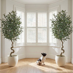 Olive Topiary Tree- 1.6m - artificial plants, flowers & trees - image 4