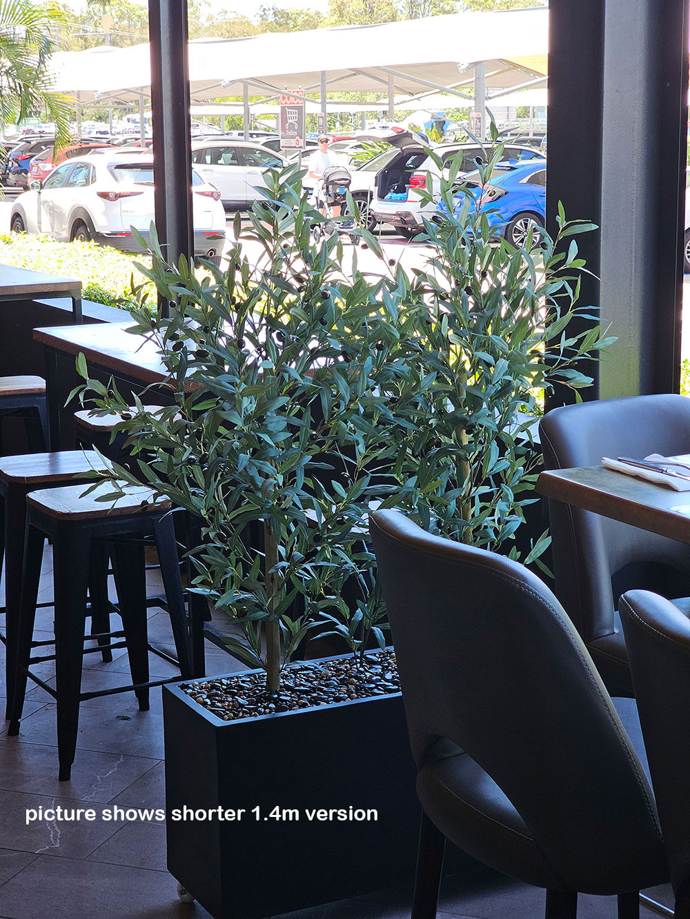 Trough Planters- with Olive Trees 1.7m