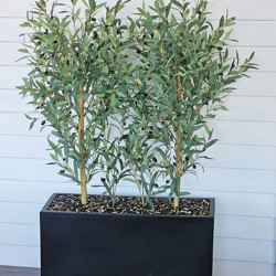 Trough Planters- with Olive Trees 1.7m - artificial plants, flowers & trees - image 1