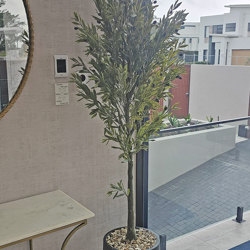 Olive Tree- UV 1.8m - artificial plants, flowers & trees - image 3