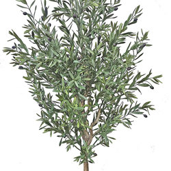 Olive Tree- UV 1.8m - artificial plants, flowers & trees - image 2
