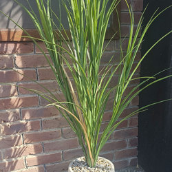 Planters- Duffle Pot small - off-white - artificial plants, flowers & trees - image 4