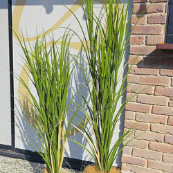 Pampas Grass UV 1.5m - artificial plants, flowers & trees - image 1