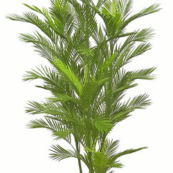 Parlour Palm UV 1.9m - artificial plants, flowers & trees - image 9