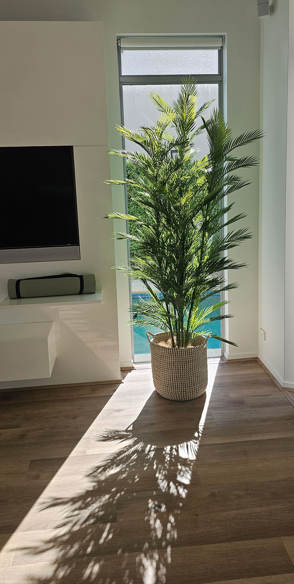 Parlour Palm UV 1.9m