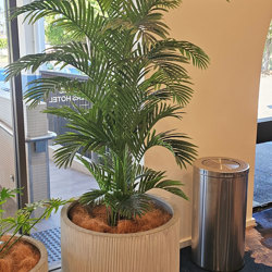 Phoenix Palm 1.8m - artificial plants, flowers & trees - image 3
