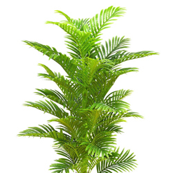 Phoenix Palm 1.5m  - artificial plants, flowers & trees - image 4
