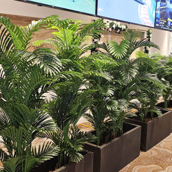 Phoenix Palm 2.1m  - artificial plants, flowers & trees - image 4
