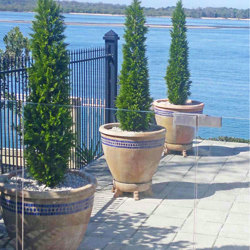 Cypress Pine UV 1.5m  - artificial plants, flowers & trees - image 1