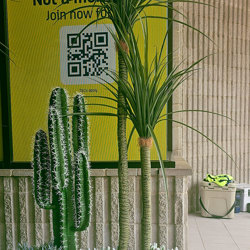 Ponytail Yucca 2m triple-stem - artificial plants, flowers & trees - image 3