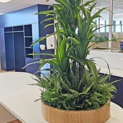 Happy Plant 1.9m quadruple-head - artificial plants, flowers & trees - image 7